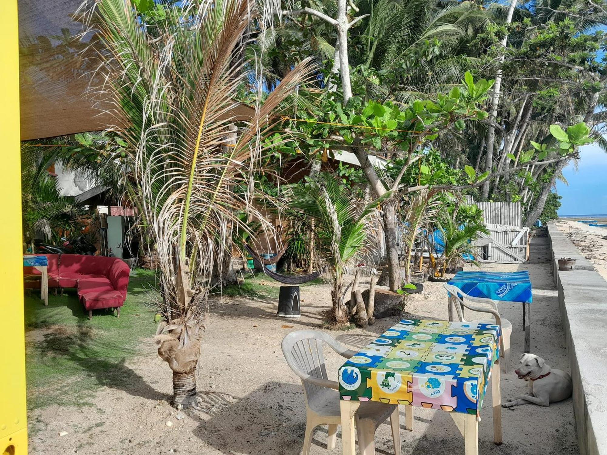 Enrico's Guesthouse Siquijor Extérieur photo